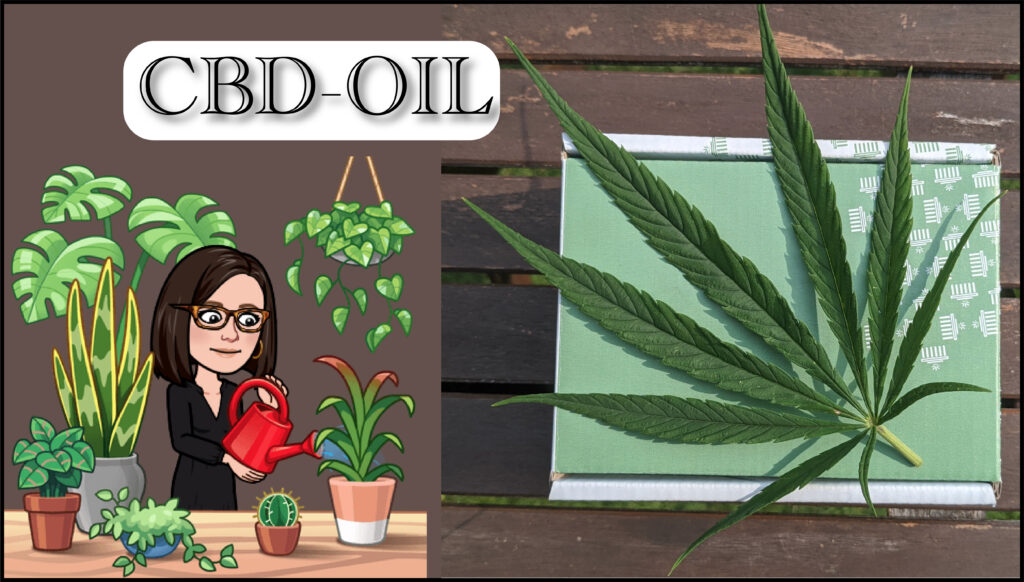 CBD-oil